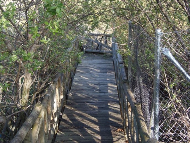  paths on the route 